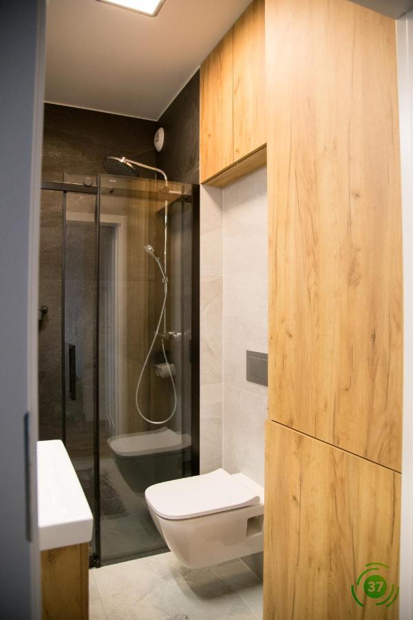 Cozy 37 Apartment Jastrzebia Gora